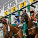 flat horse racing tips